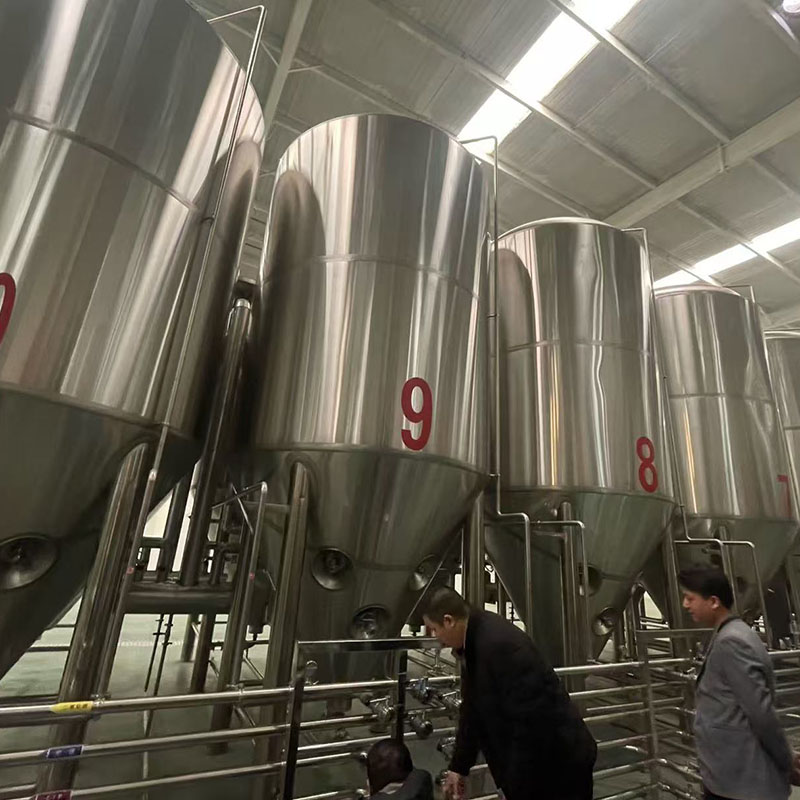 龙沙精酿啤酒设备